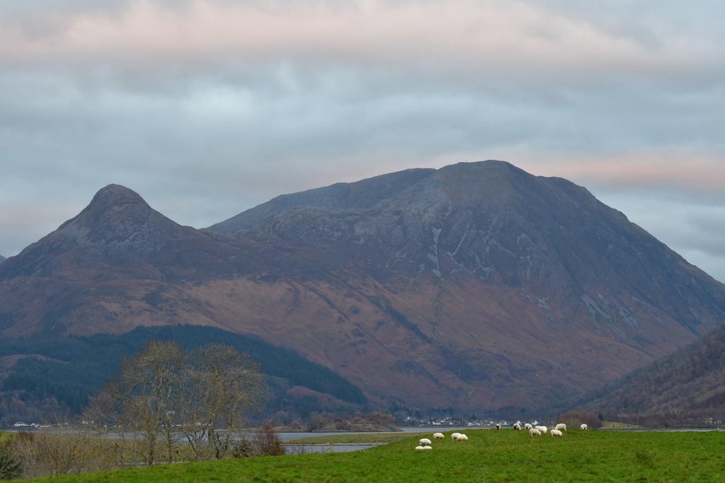 2018-11 Scotland/Pap of Glencoe/DSC_7025.JPG